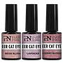 PN Kit gel efecto Sheer Cat Eye 3 x 6 ml + iman PV25
