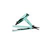 PLANCHA C5 MINT+ SECADOR WAND KIT CORIOLISS caja unica